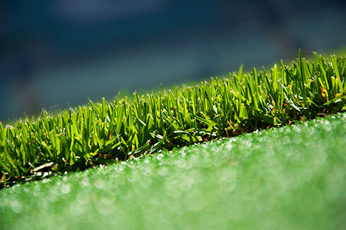 Close-up of dense, healthy turf on a Whitman Lawn Care program