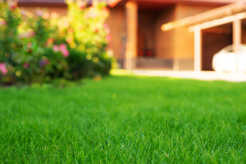 A thick green lawn beside a Northeast Pennsylvania home